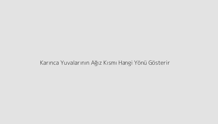 000000.pngtextKarinca Yuvalarinin Agiz Kismi Hangi Yonu Gosterir